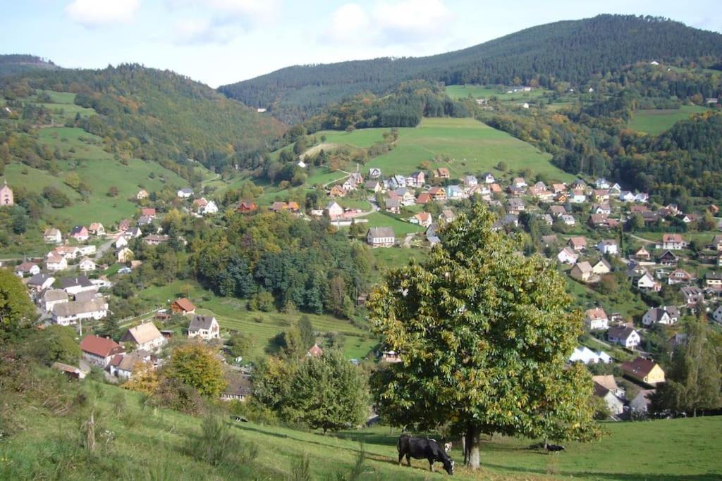 Yourte Des Verts Bois Freland ภายนอก รูปภาพ
